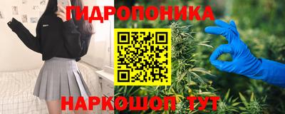 гашик Лесосибирск