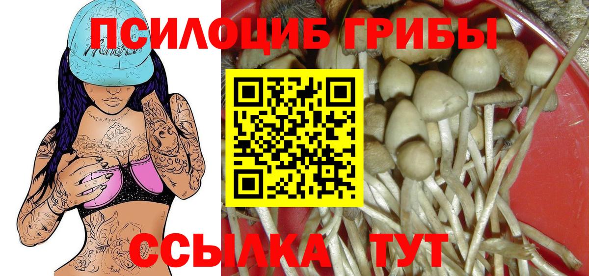 Знаменск  Марихуана  Вход с VPN  АМФ кристаллы  ГАШИШ  Меф МЯУ МЯУ кристаллы  Лсд 25  Мефедрон  COCAIN 