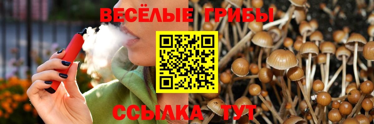Галлюциногенные грибы Cubensis  Галлюциногенные грибы Magic Shrooms  Знаменск  Вход с VPN 